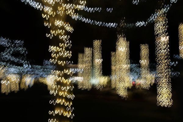 Jaynes Gallery 아티스트의 USA-Arizona-Buckeye-Abstract of decorated trees at night during Christmas작품입니다.